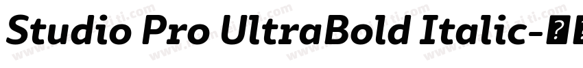 Studio Pro UltraBold Italic字体转换